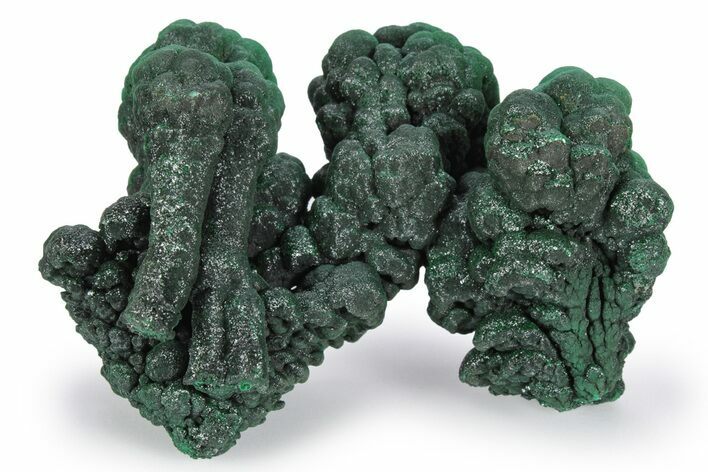 Sparkling, Botryoidal Malachite Stalactite Formation - Congo #246567